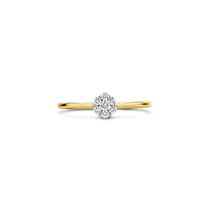 Blush Diamonds Ring 14k Gelbgold und Weissgold - 1611BDI