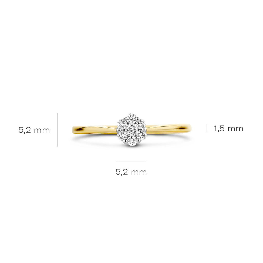 Blush Diamonds Ring 14k Gelbgold und Weissgold - 1611BDI