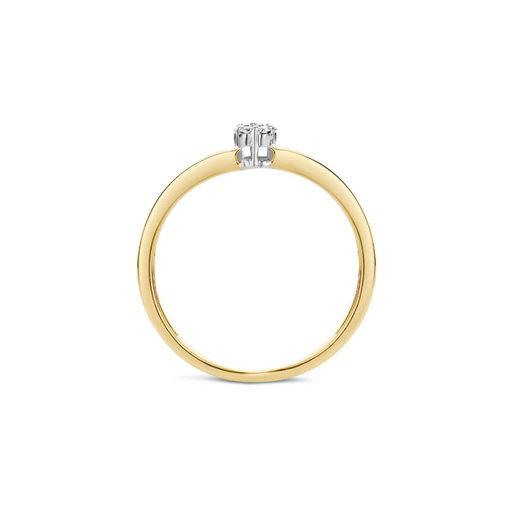 Blush Diamonds Ring 14k Gelbgold und Weissgold - 1623BDI