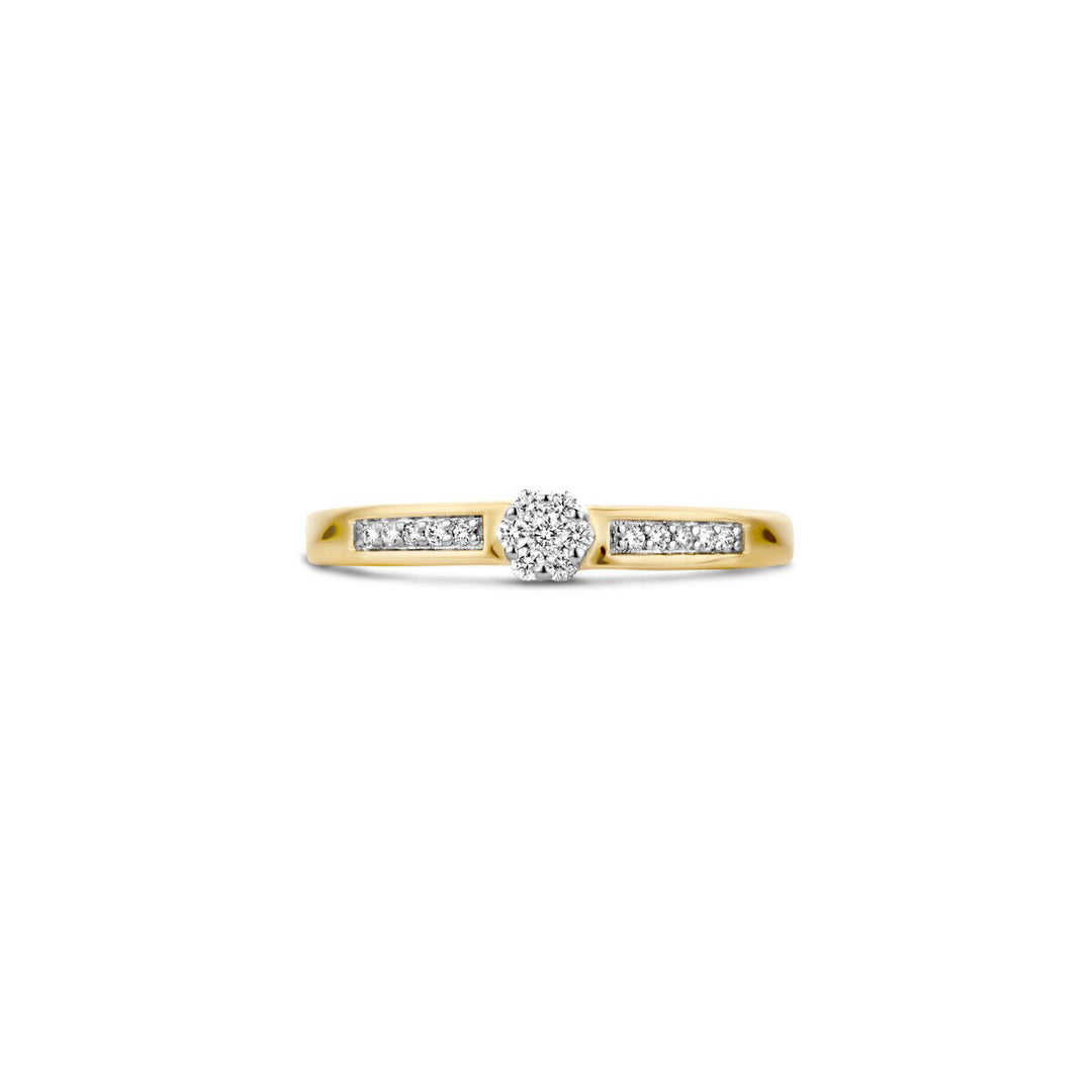 Blush Diamonds Ring 14k Gelbgold und Weissgold - 1623BDI