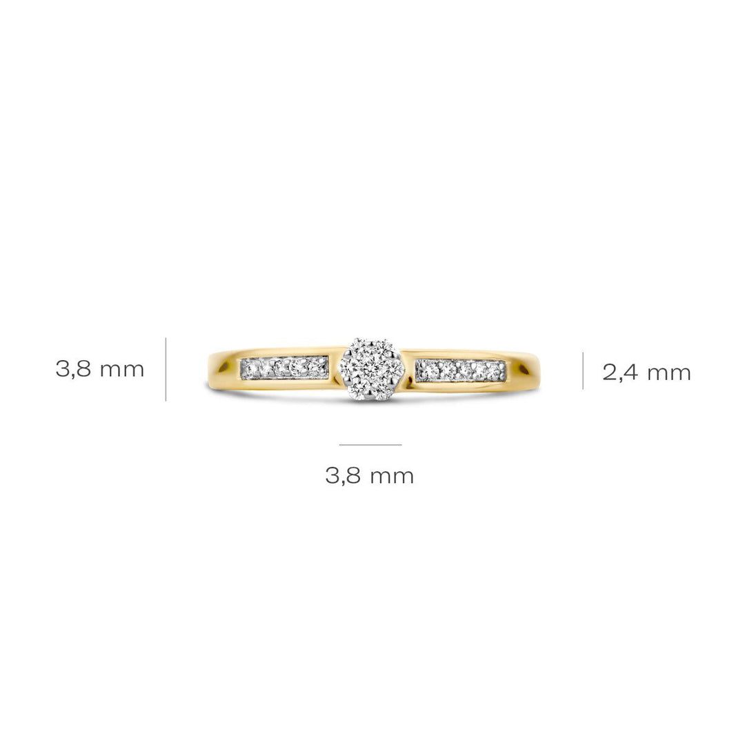 Blush Diamonds Ring 14k Gelbgold und Weissgold - 1623BDI