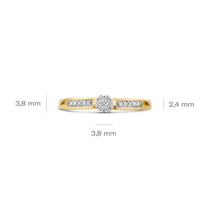 Blush Diamonds Ring 14k Gelbgold und Weissgold - 1623BDI