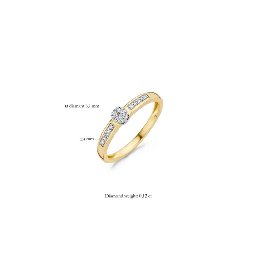 Blush Diamonds Ring 14k Gelbgold und Weissgold - 1623BDI