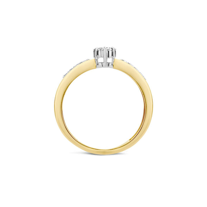 Blush Diamonds Ring 14k Gelbgold und Weissgold - 1624BDI