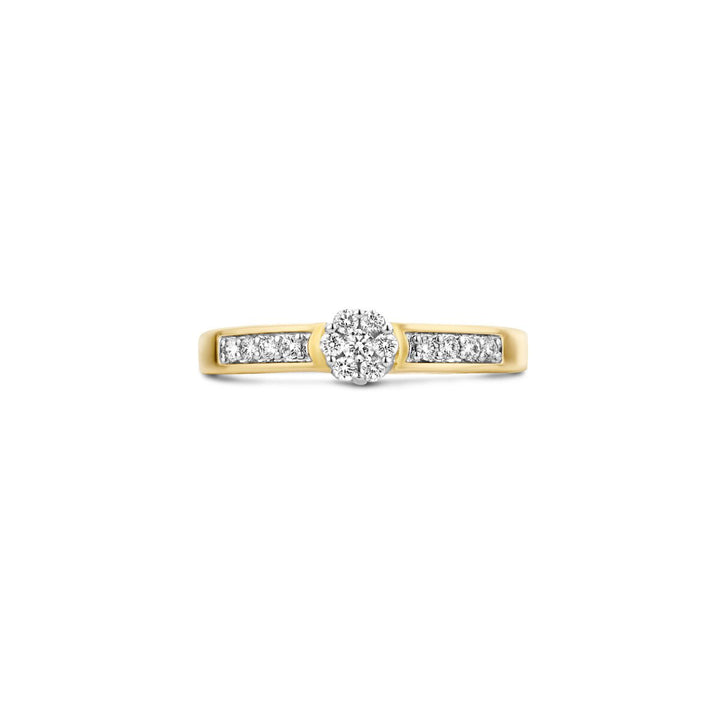 Blush Diamonds Ring 14k Gelbgold und Weissgold - 1624BDI