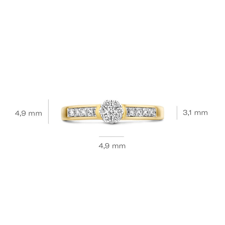 Blush Diamonds Ring 14k Gelbgold und Weissgold - 1624BDI