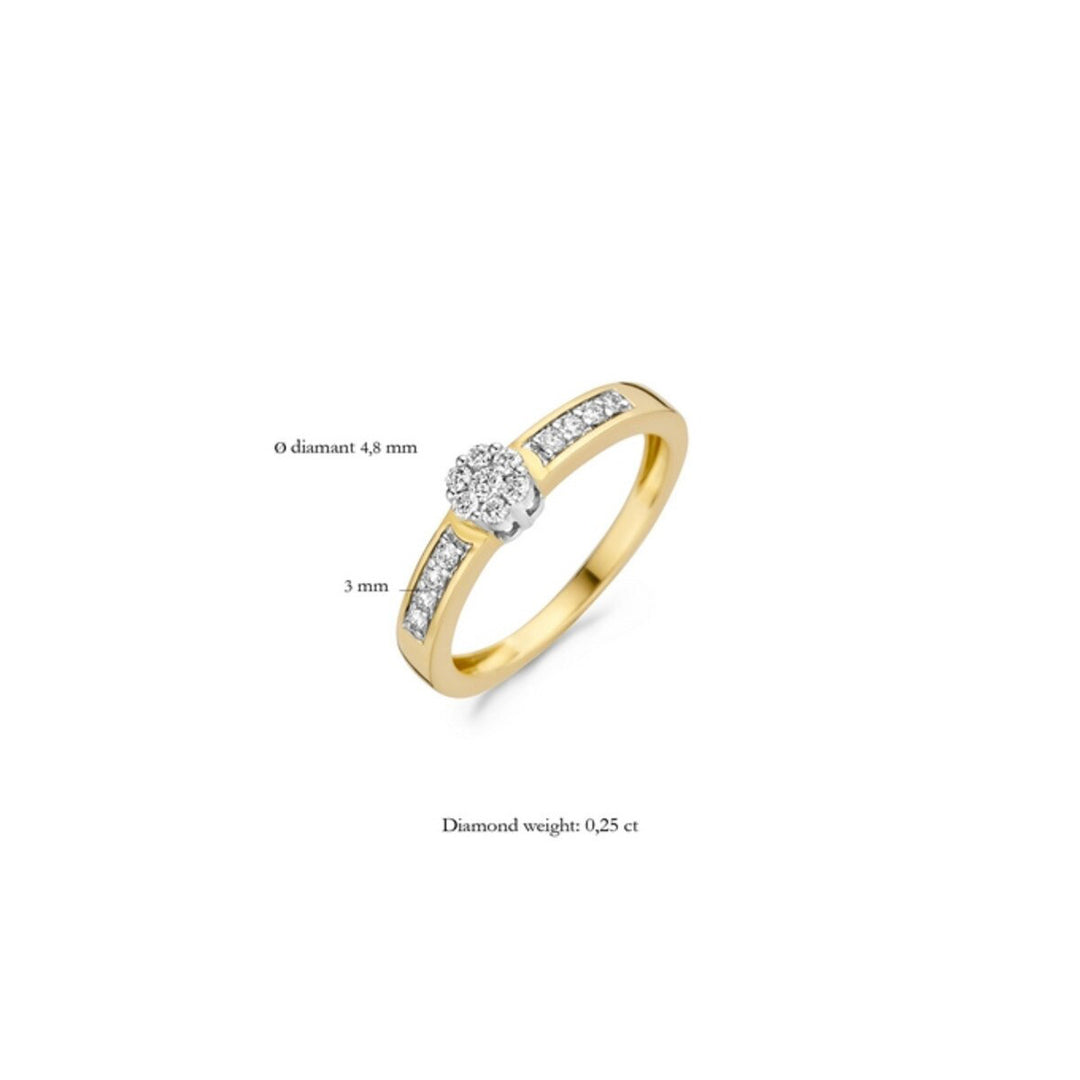 Blush Diamonds Ring 14k Gelbgold und Weissgold - 1624BDI
