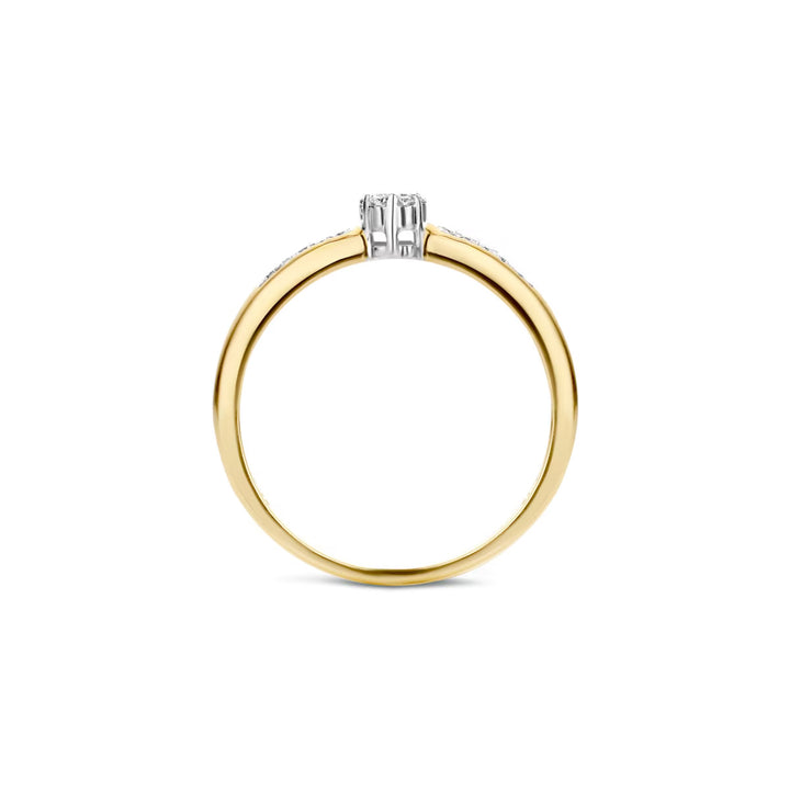 Blush Diamonds Ring 14k Gelbgold und Weissgold - 1625BDI