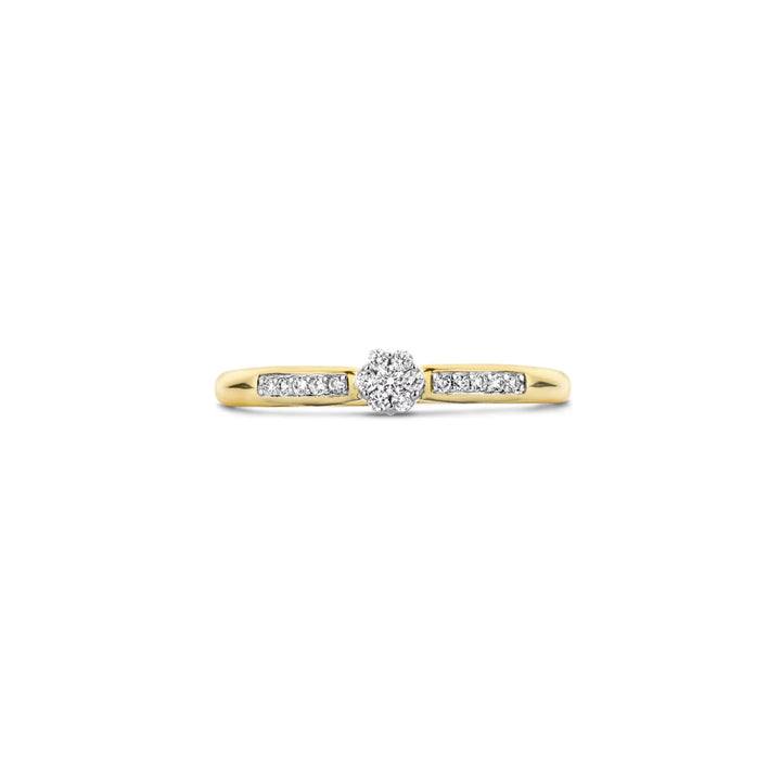 Blush Diamonds Ring 14k Gelbgold und Weissgold - 1625BDI