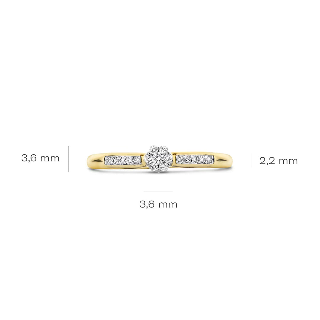 Blush Diamonds Ring 14k Gelbgold und Weissgold - 1625BDI