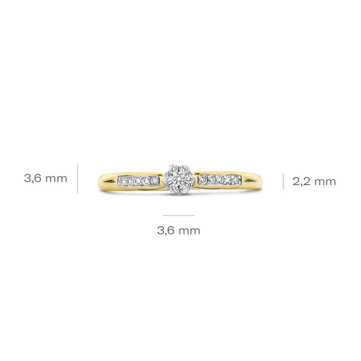 Blush Diamonds Ring 14k Gelbgold und Weissgold - 1625BDI