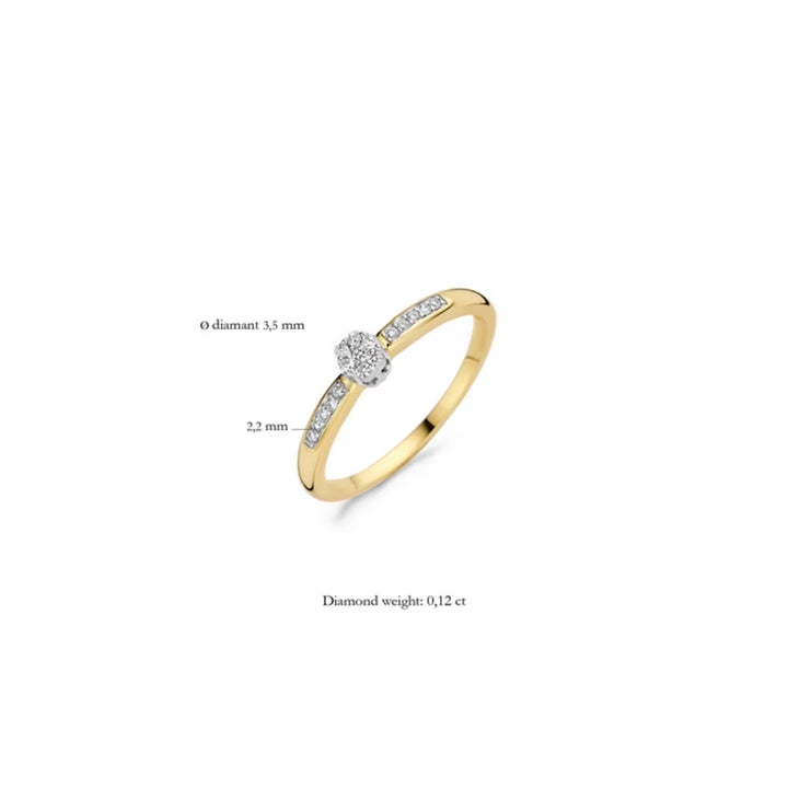 Blush Diamonds Ring 14k Gelbgold und Weissgold - 1625BDI