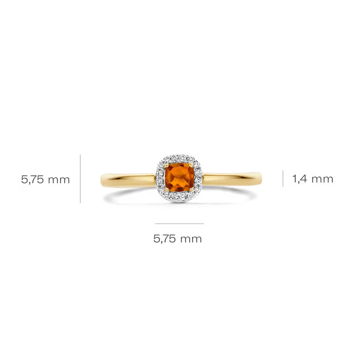 Blush Diamonds Ring 14k Gelbgold - 1636YDC