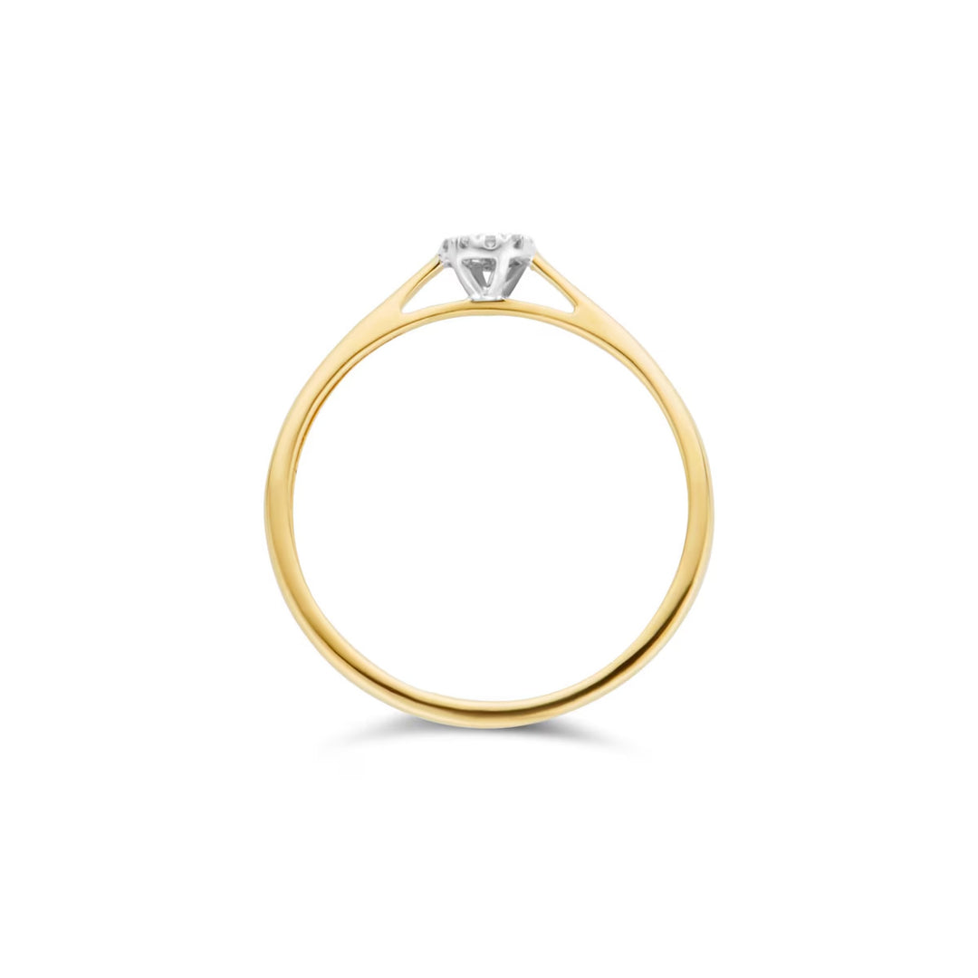 Blush Diamonds Ring 14k Gelbgold und Weissgold - 1646BDI