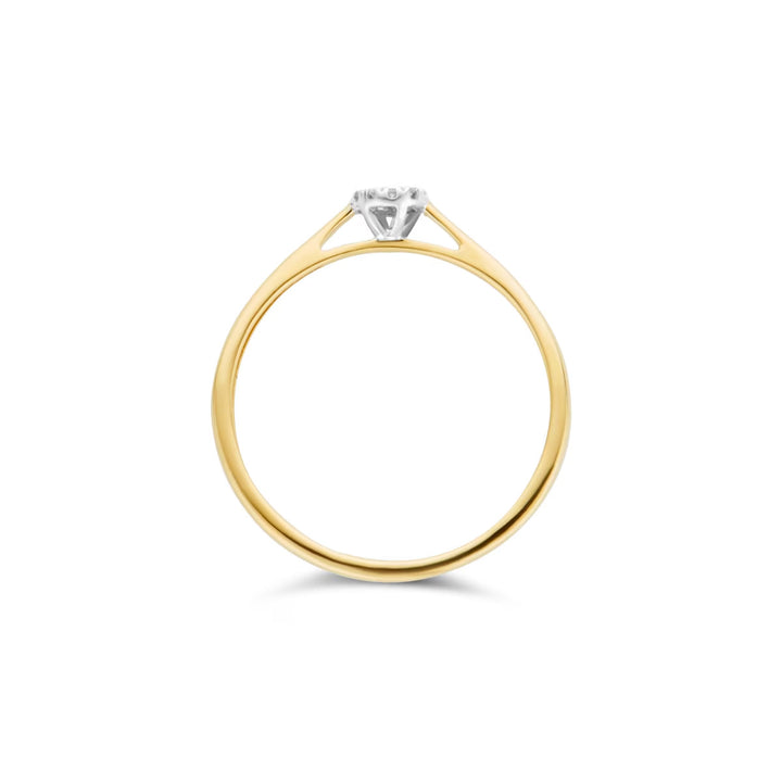 Blush Diamonds Ring 14k Gelbgold und Weissgold - 1646BDI