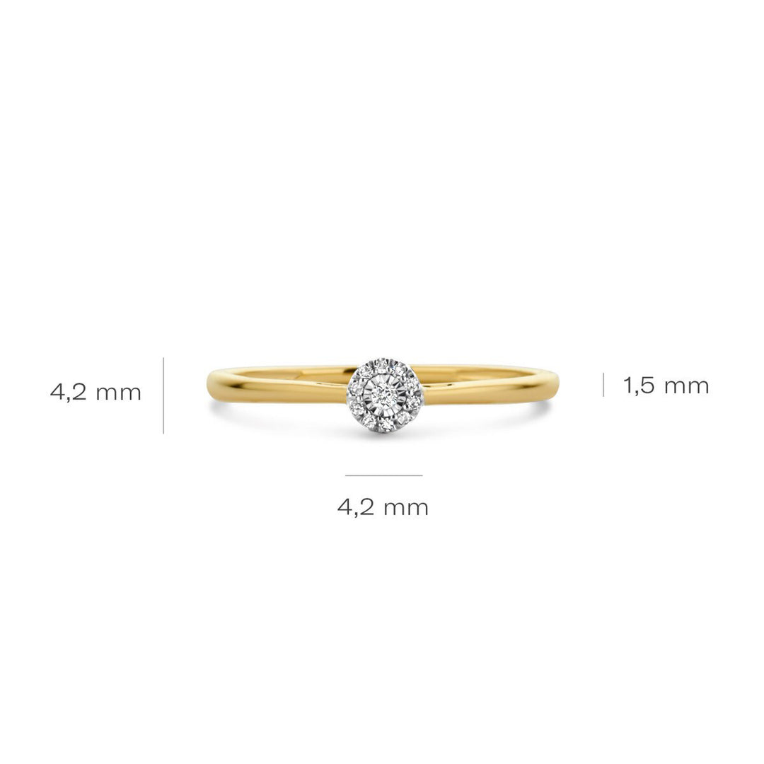 Blush Diamonds Ring 14k Gelbgold und Weissgold - 1646BDI