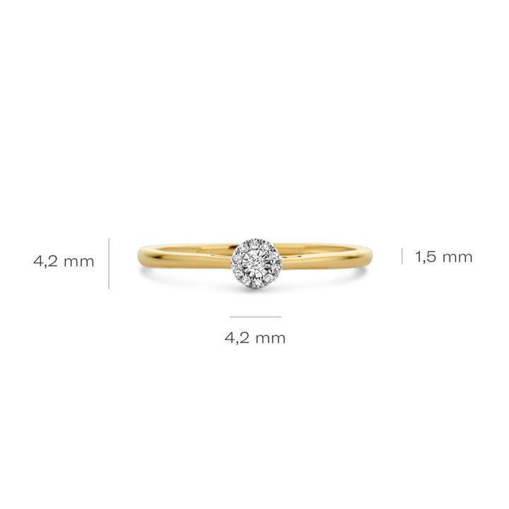 Blush Diamonds Ring 14k Gelbgold und Weissgold - 1646BDI