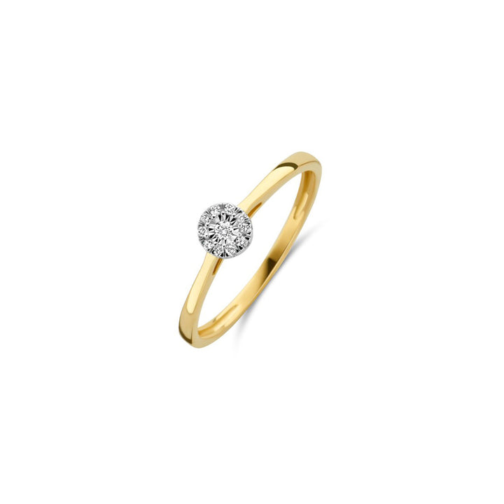 Blush Diamonds Ring 14k Gelbgold und Weissgold - 1647BDI