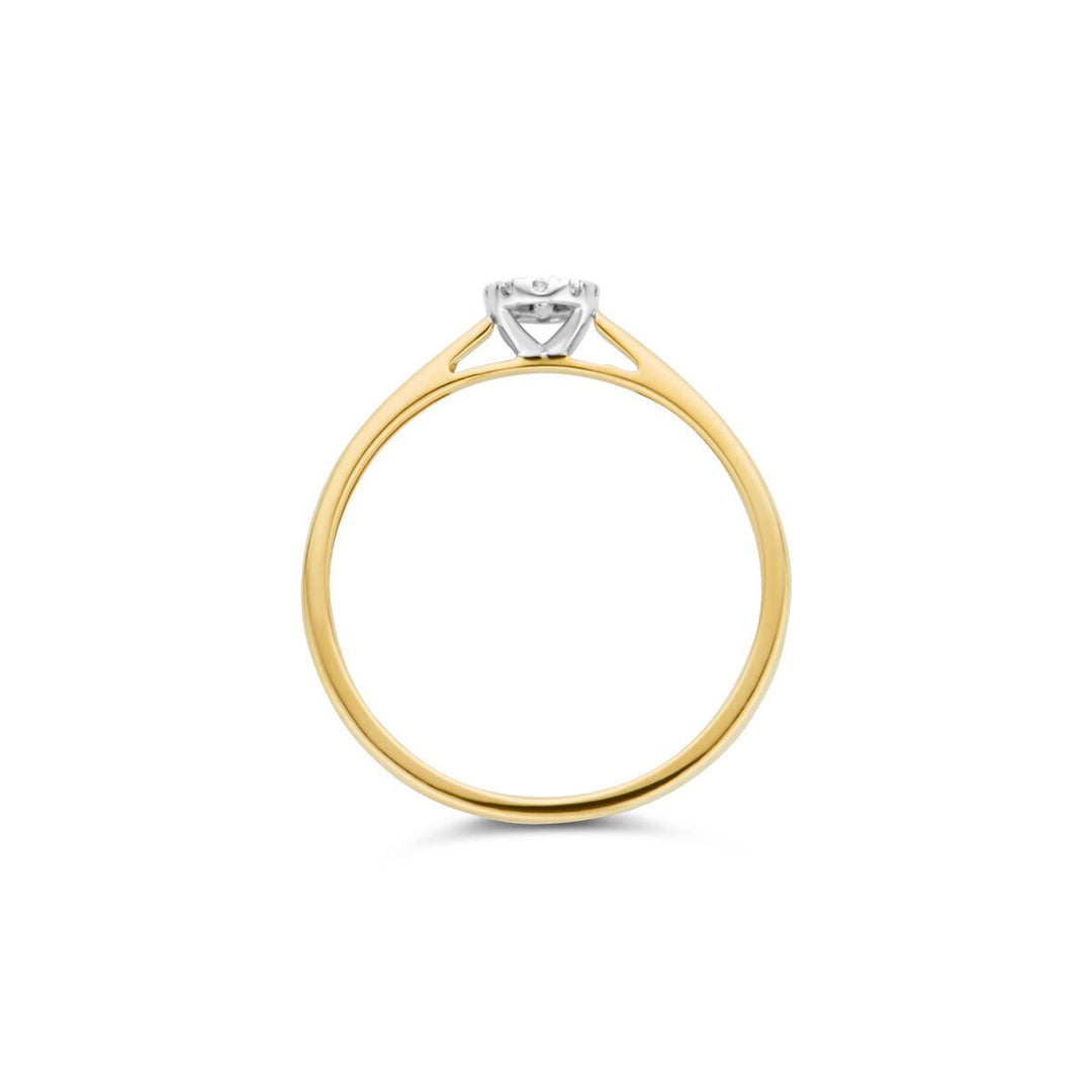 Blush Diamonds Ring 14k Gelbgold und Weissgold - 1647BDI