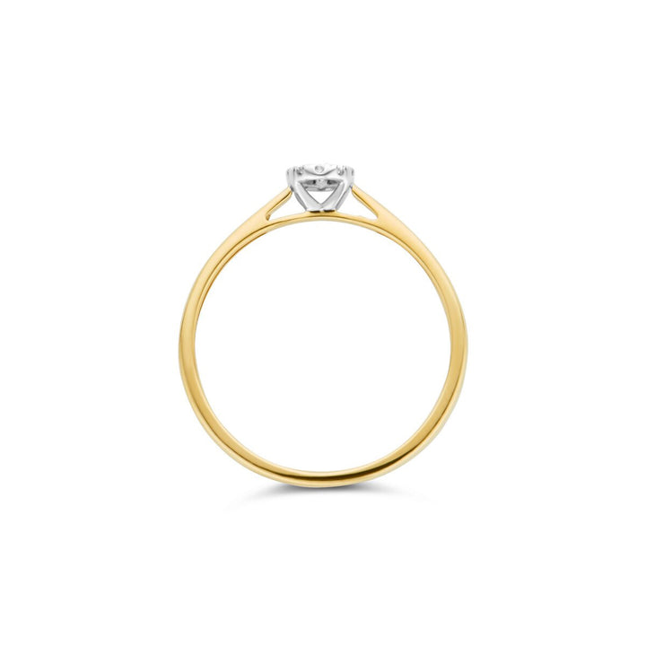 Blush Diamonds Ring 14k Gelbgold und Weissgold - 1647BDI