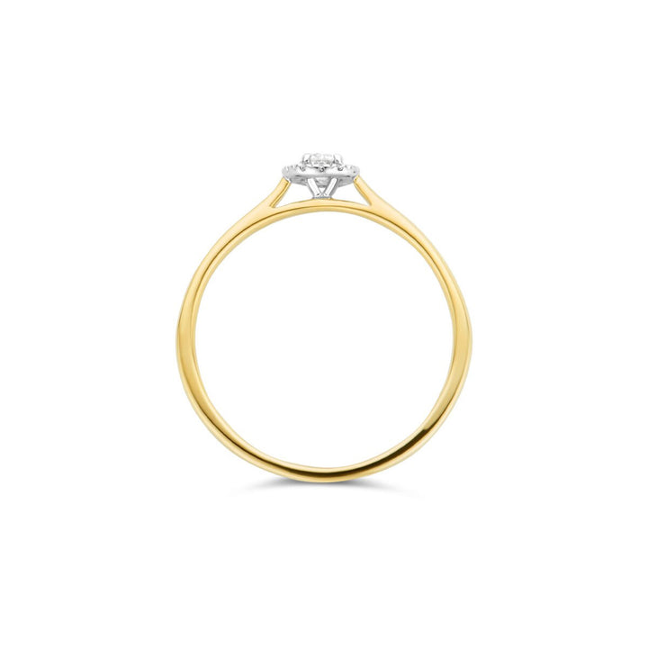 Blush Diamonds Ring 14k Gelbgold und Weissgold - 1648BDI
