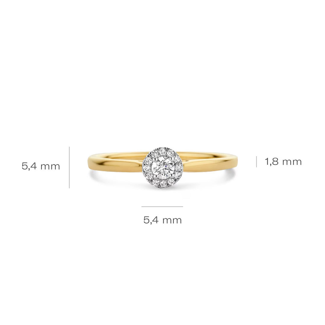 Blush Diamonds Ring 14k Gelbgold und Weissgold - 1648BDI