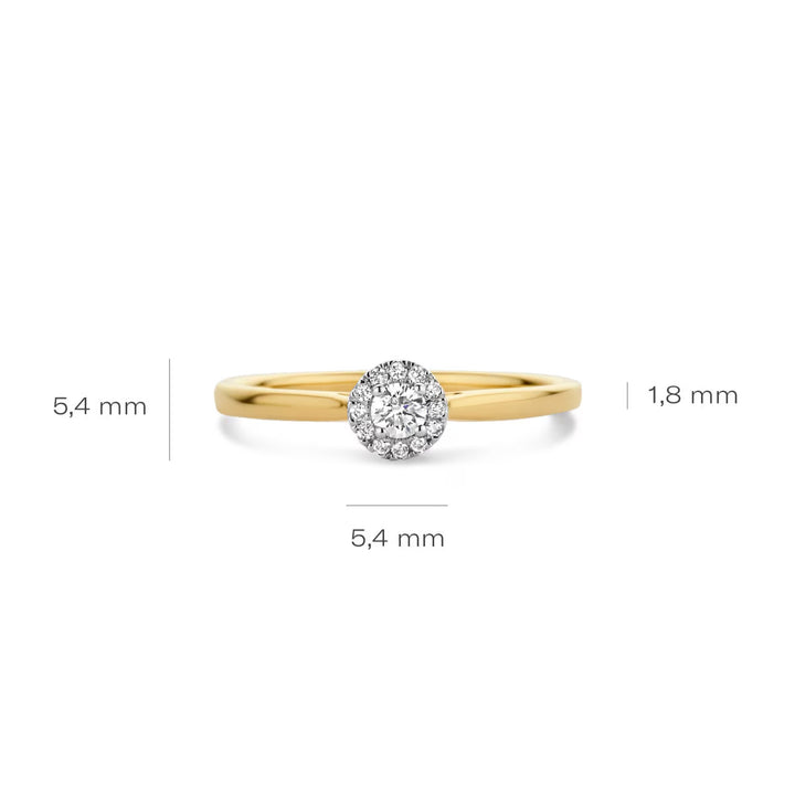 Blush Diamonds Ring 14k Gelbgold und Weissgold - 1648BDI