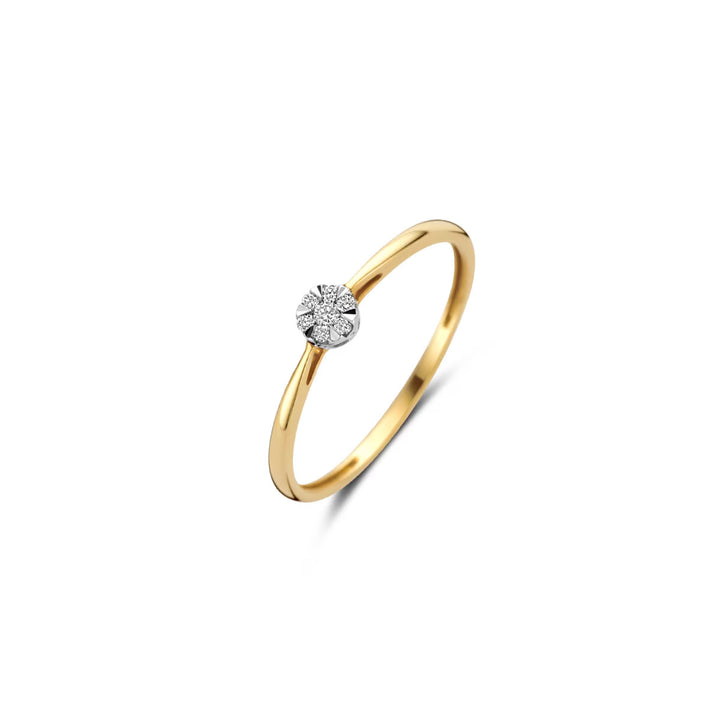 Blush Diamonds Ring 14k Gelbgold und Weissgold - 1675BDI