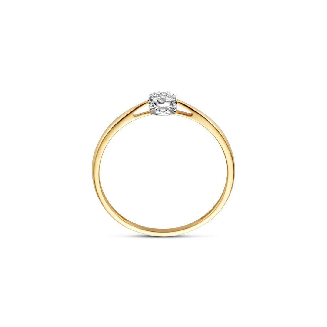 Blush Diamonds Ring 14k Gelbgold und Weissgold - 1675BDI