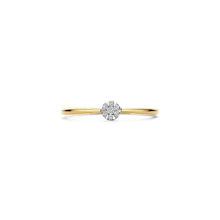 Blush Diamonds Ring 14k Gelbgold und Weissgold - 1675BDI