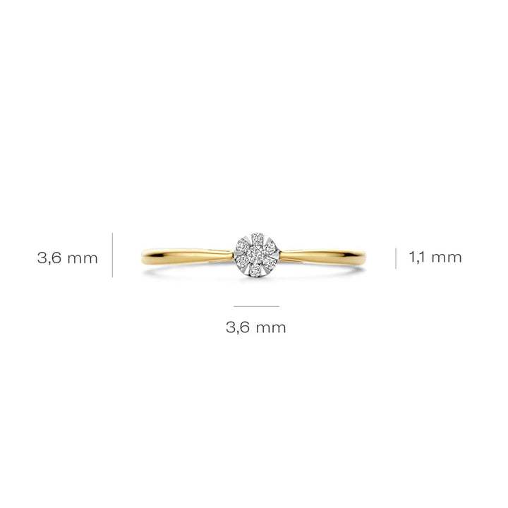 Blush Diamonds Ring 14k Gelbgold und Weissgold - 1675BDI