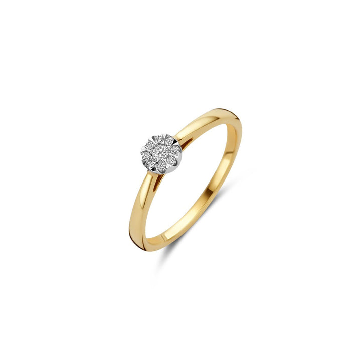 Blush Diamonds Ring 14k Gelbgold und Weissgold - 1676BDI