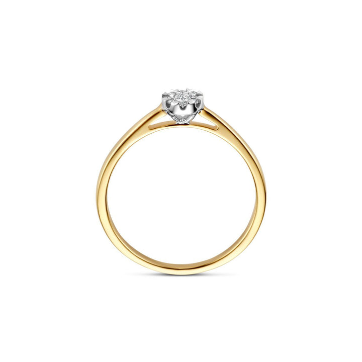 Blush Diamonds Ring 14k Gelbgold und Weissgold - 1676BDI