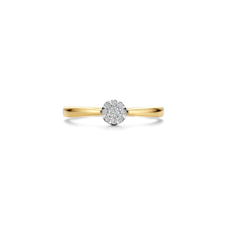 Blush Diamonds Ring 14k Gelbgold und Weissgold - 1676BDI