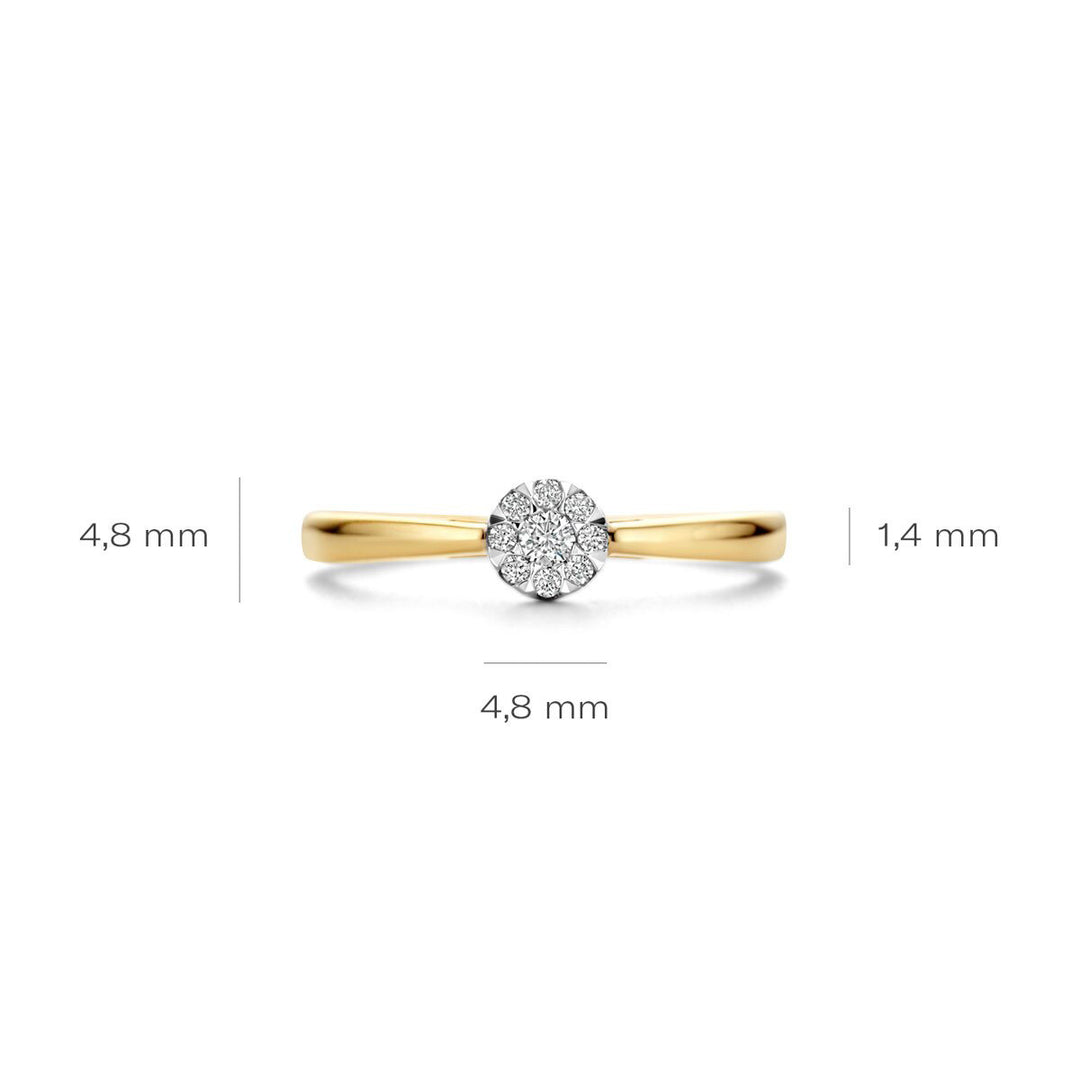 Blush Diamonds Ring 14k Gelbgold und Weissgold - 1676BDI