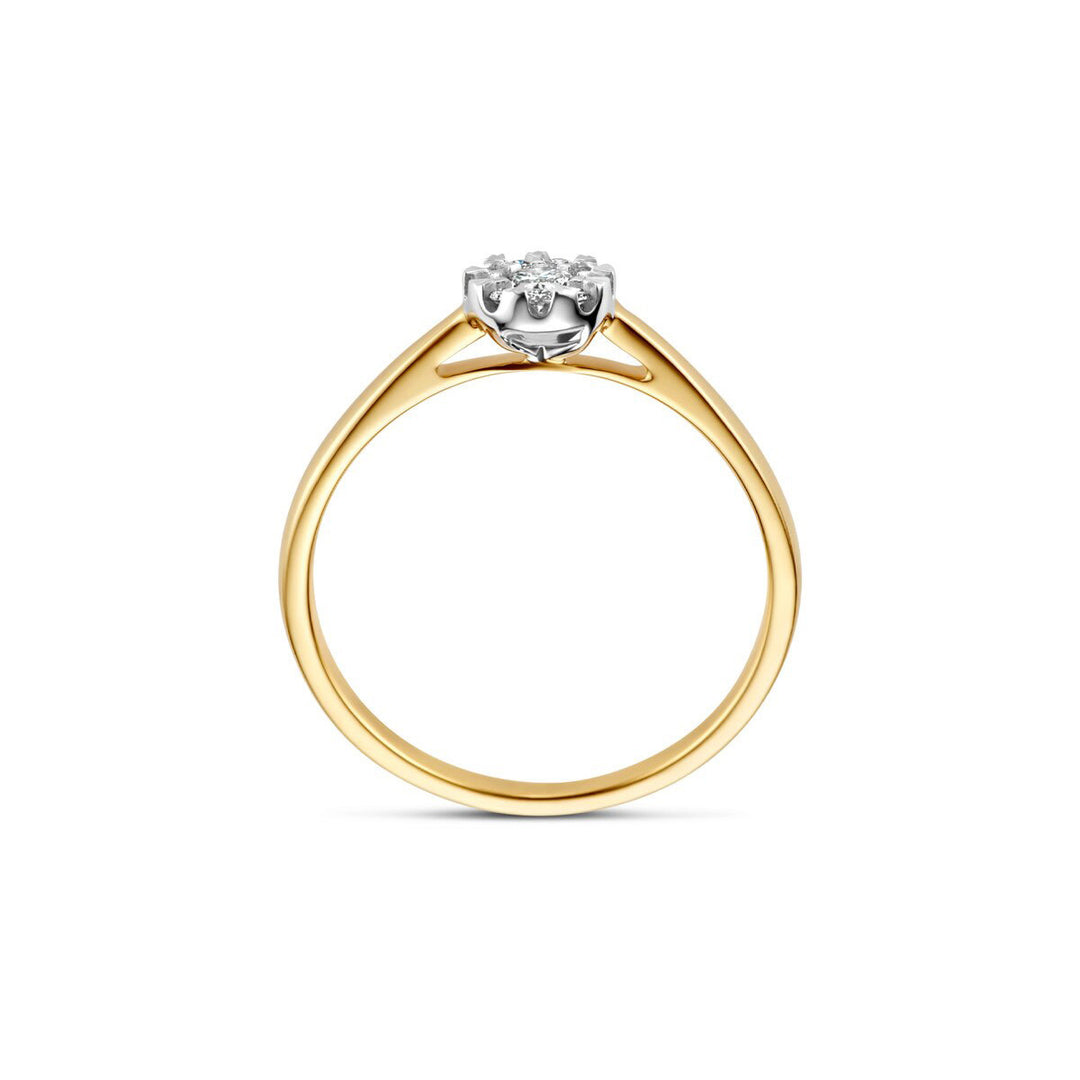 Blush Diamonds Ring 14k Gelbgold und Weissgold - 1677BDI