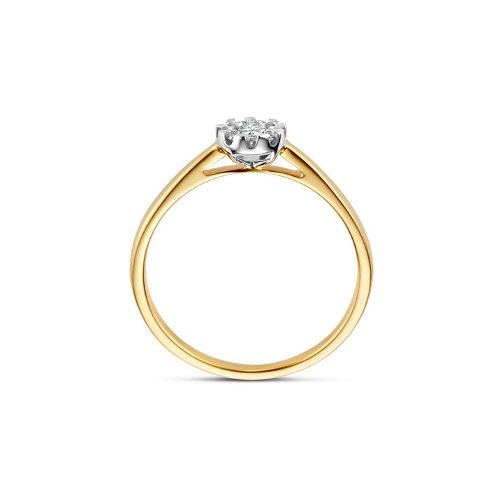 Blush Diamonds Ring 14k Gelbgold und Weissgold - 1677BDI