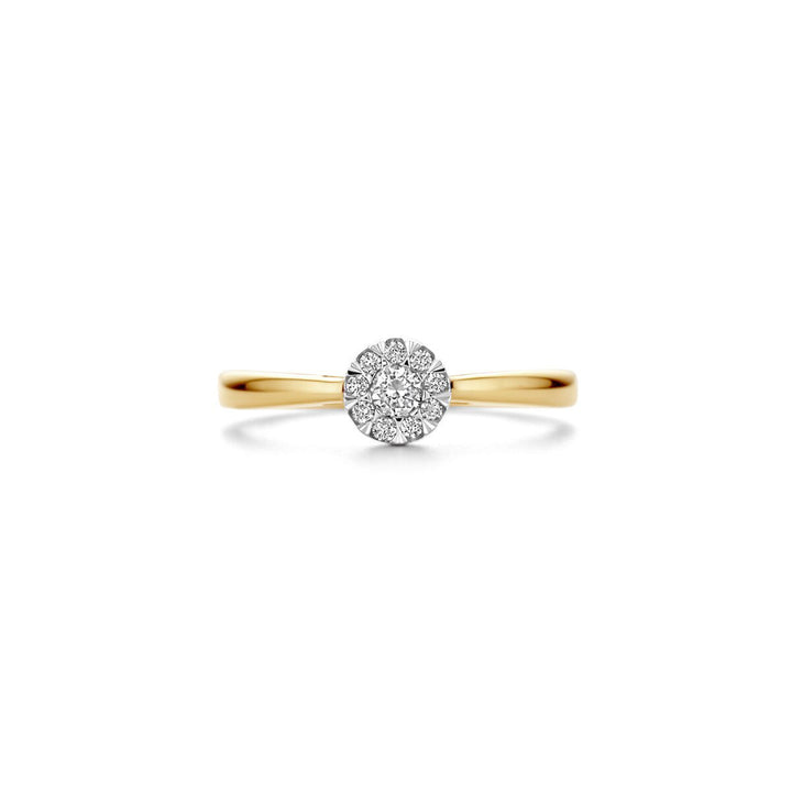 Blush Diamonds Ring 14k Gelbgold und Weissgold - 1677BDI