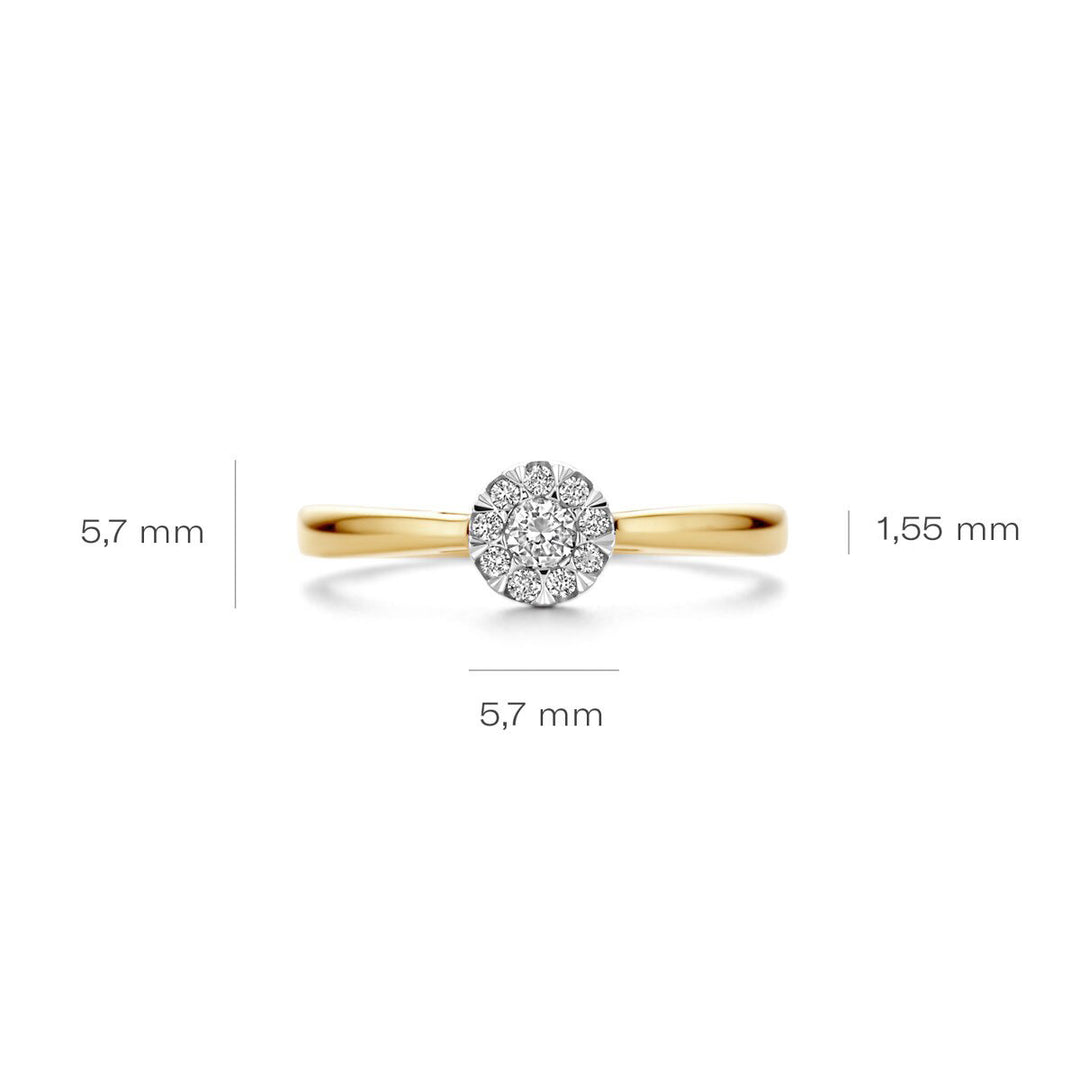 Blush Diamonds Ring 14k Gelbgold und Weissgold - 1677BDI