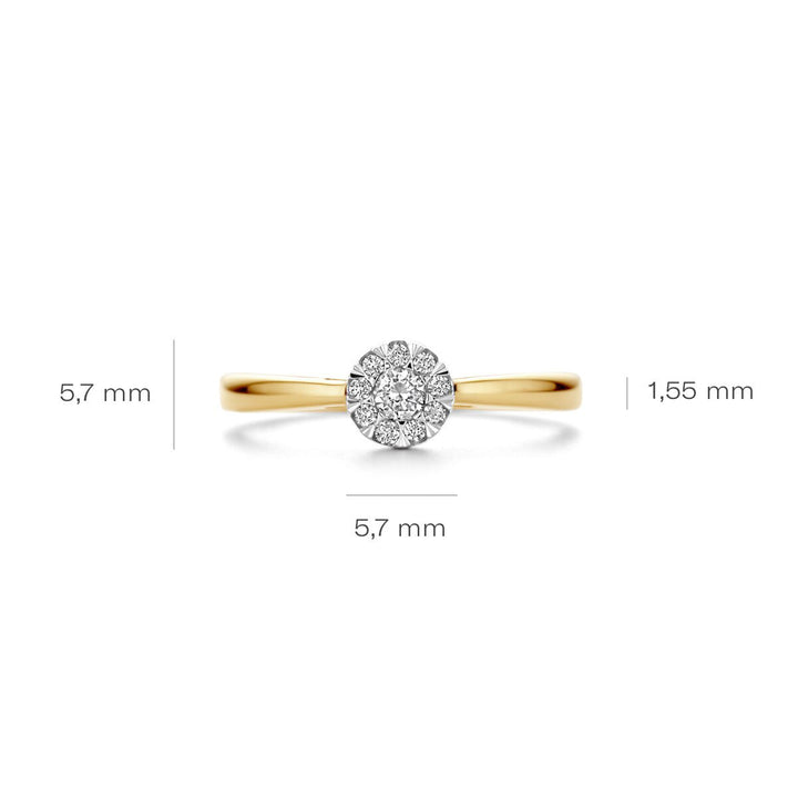 Blush Diamonds Ring 14k Gelbgold und Weissgold - 1677BDI