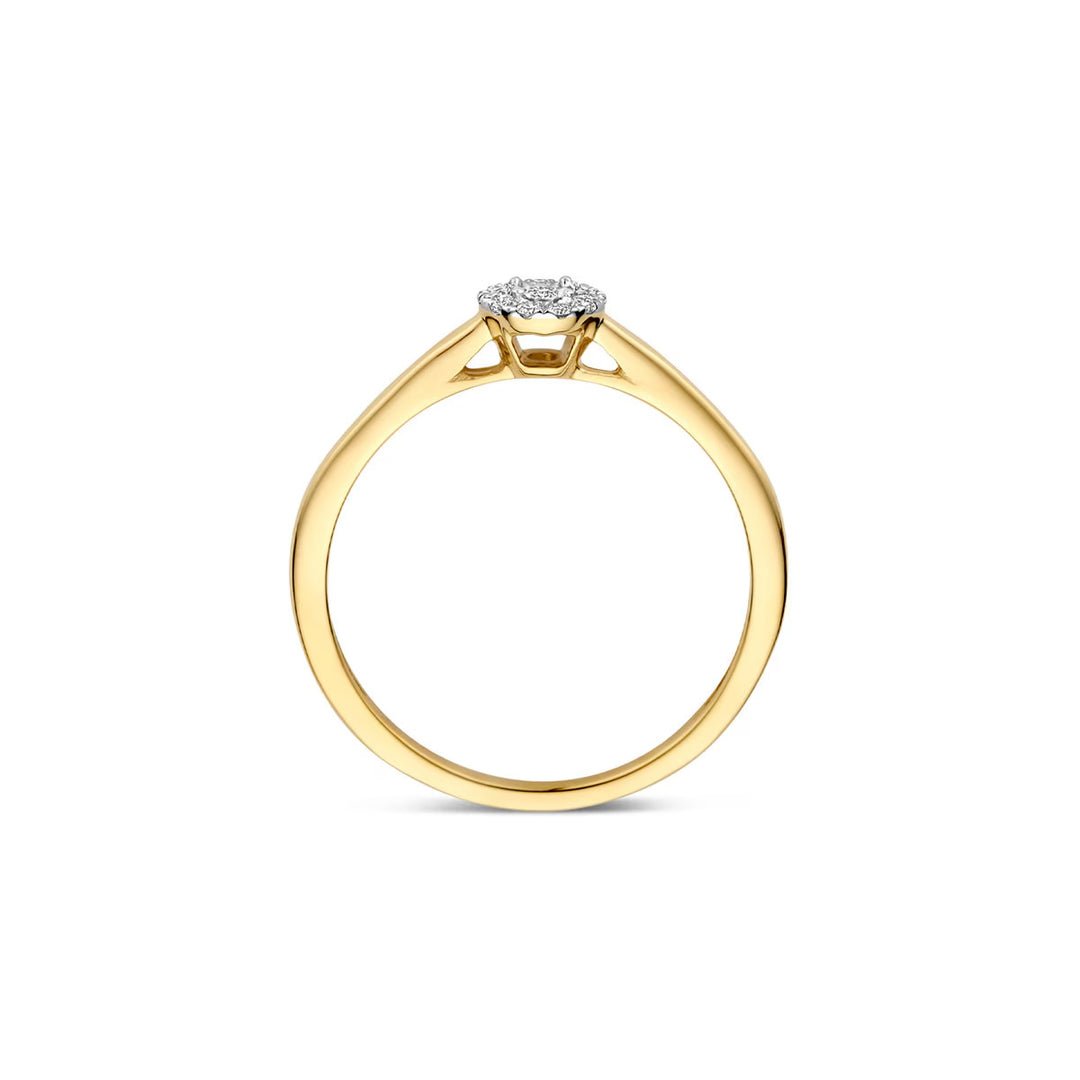 Blush Diamonds Ring 14k Gelbgold und Weissgold - 1678BDI