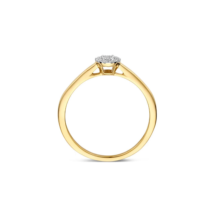 Blush Diamonds Ring 14k Gelbgold und Weissgold - 1678BDI