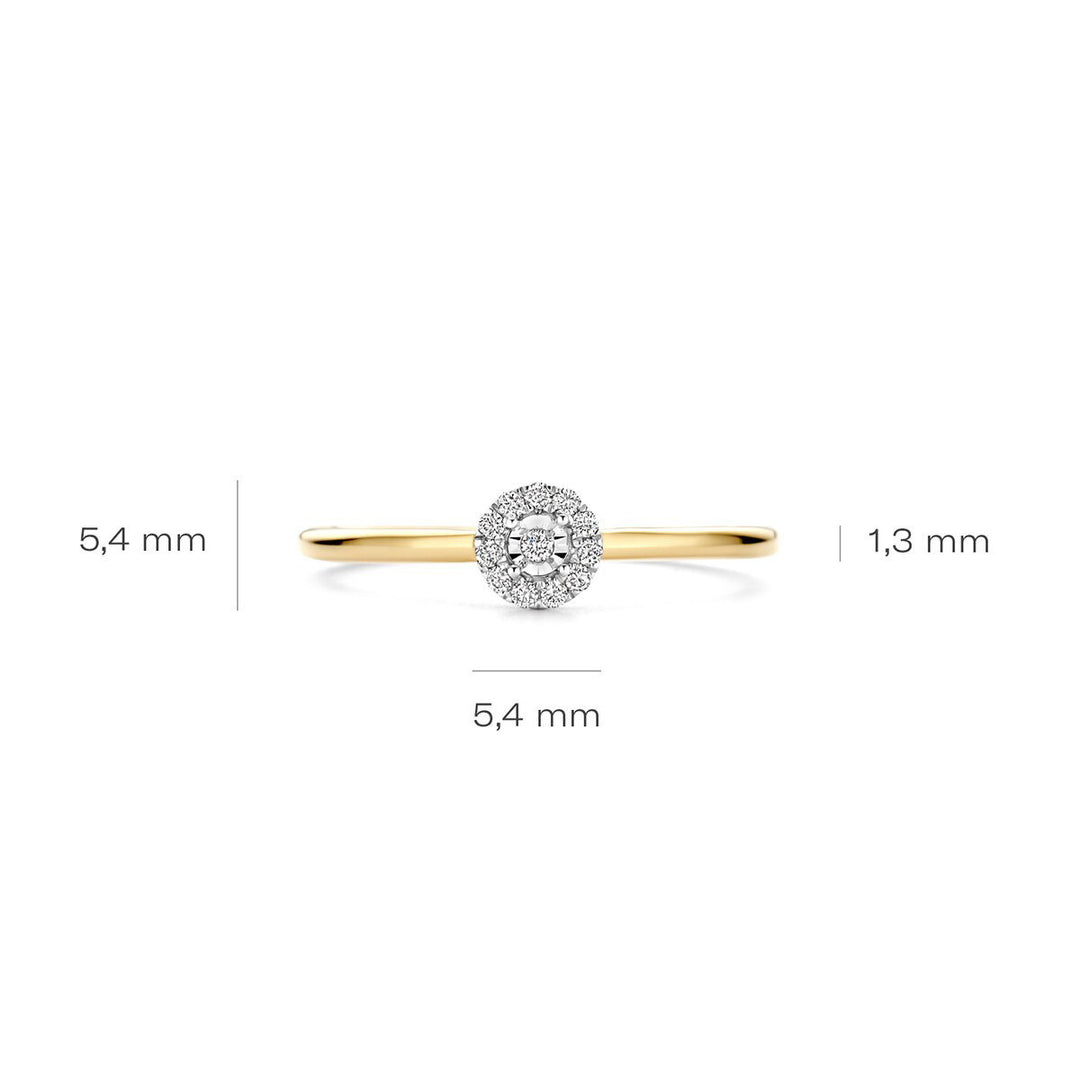 Blush Diamonds Ring 14k Gelbgold und Weissgold - 1678BDI