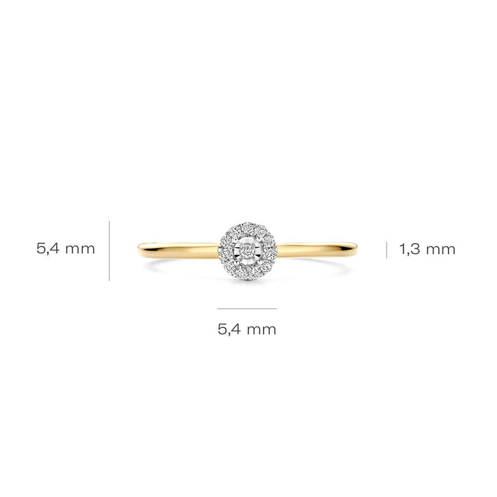 Blush Diamonds Ring 14k Gelbgold und Weissgold - 1678BDI