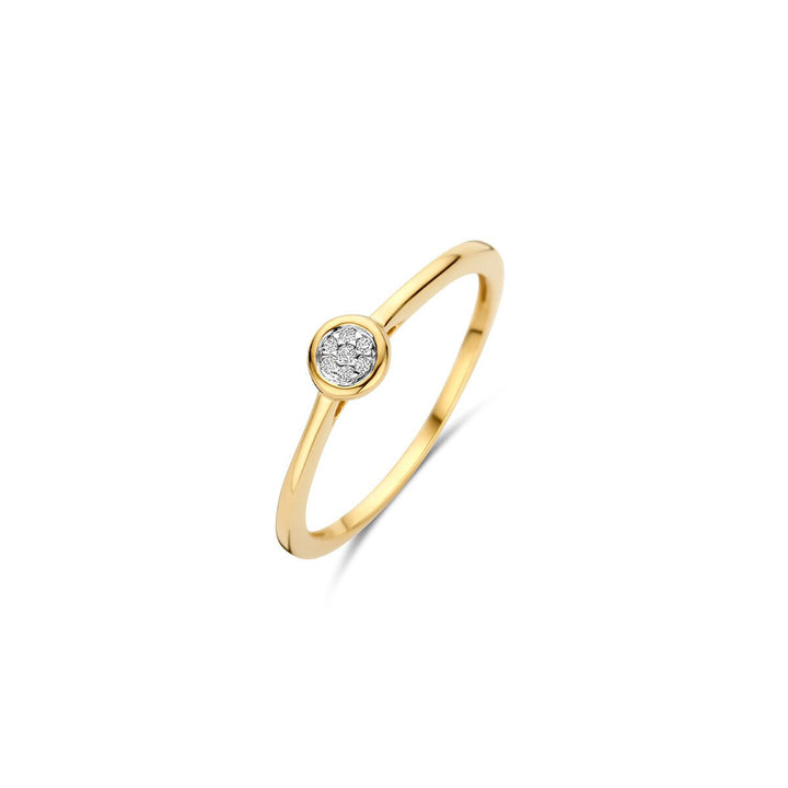 Blush Diamonds Ring 14k Gelbgold und Weissgold - 1679BDI