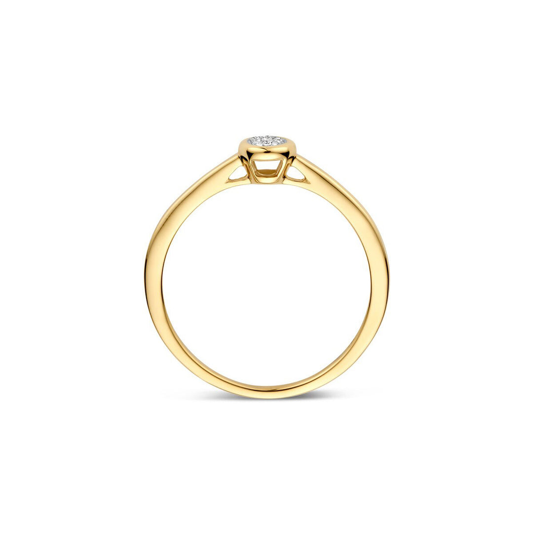 Blush Diamonds Ring 14k Gelbgold und Weissgold - 1679BDI