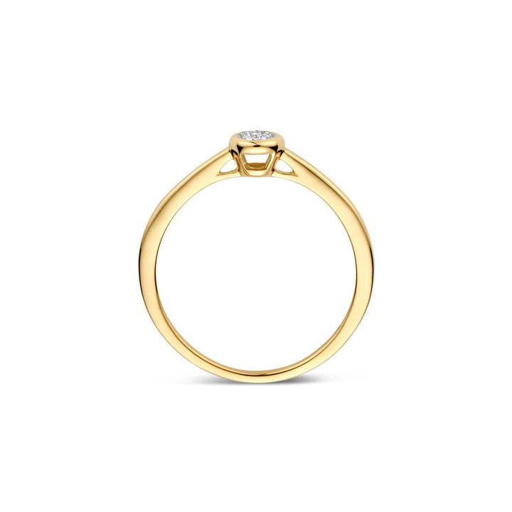 Blush Diamonds Ring 14k Gelbgold und Weissgold - 1679BDI