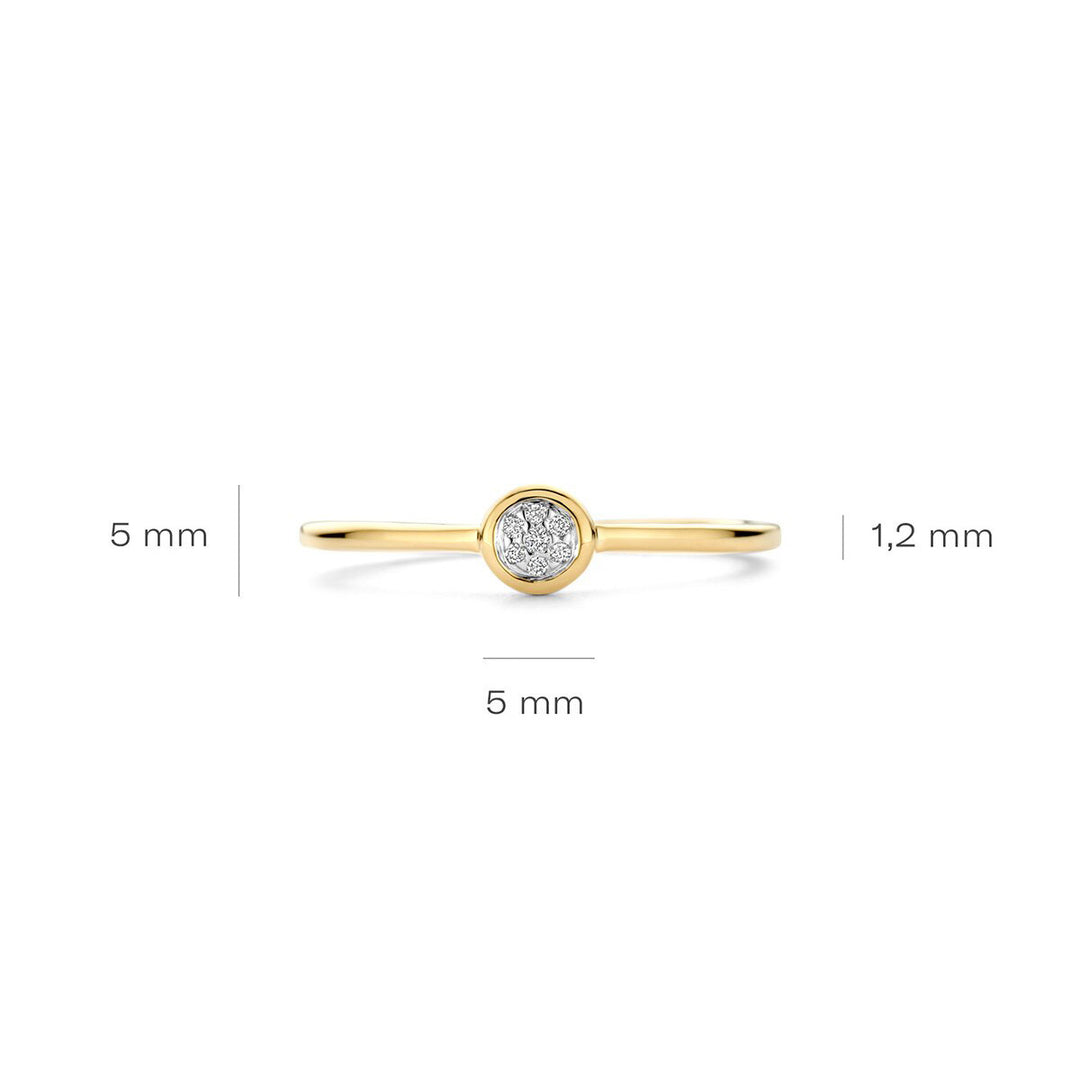 Blush Diamonds Ring 14k Gelbgold und Weissgold - 1679BDI