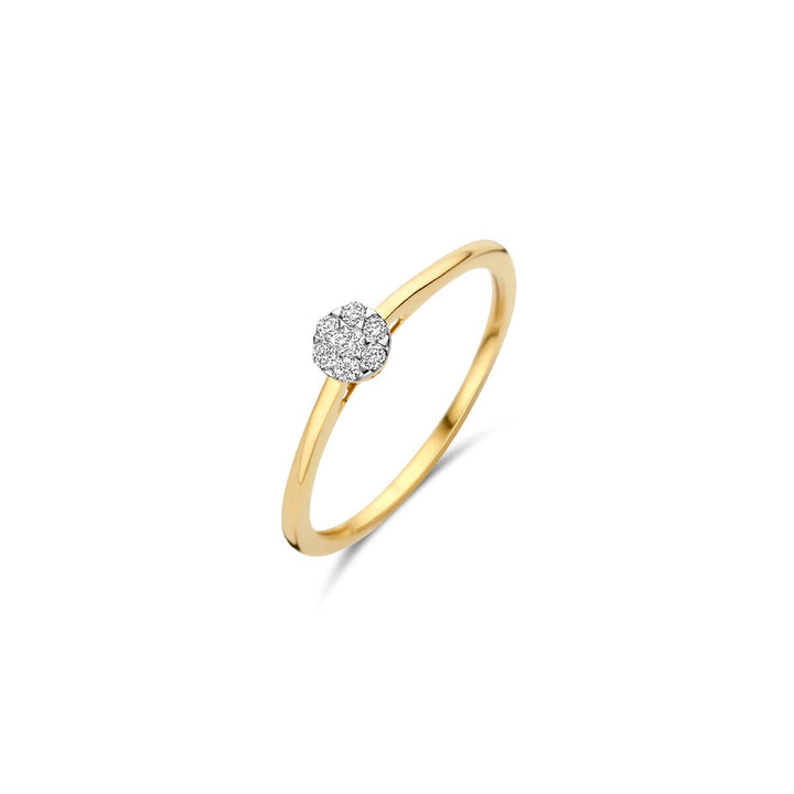Blush Diamonds Ring 14k Gelbgold und Weissgold - 1680BDI
