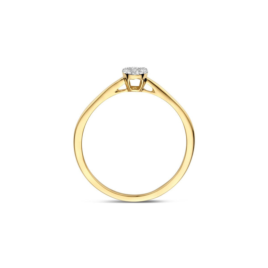 Blush Diamonds Ring 14k Gelbgold und Weissgold - 1680BDI